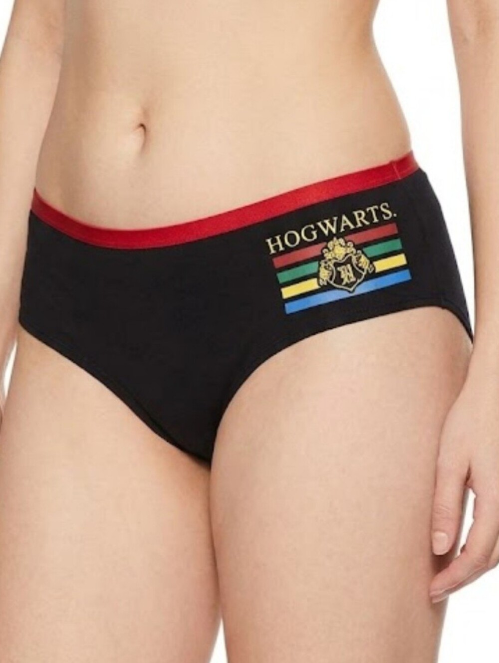 Torrid 2 Harry Potter Hogwarts Crest Hipster Panties
